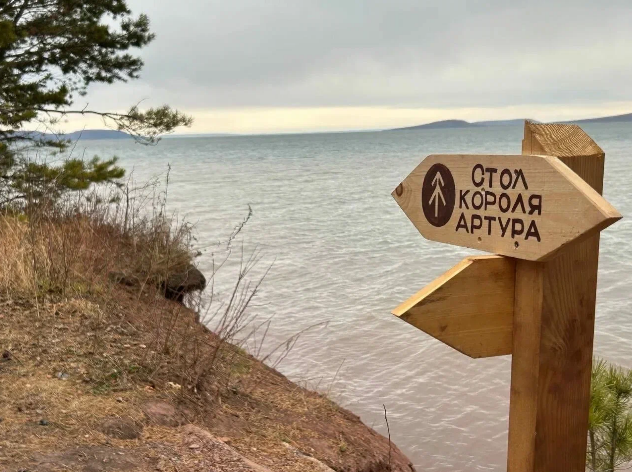 Экотропа Дикая в Братске