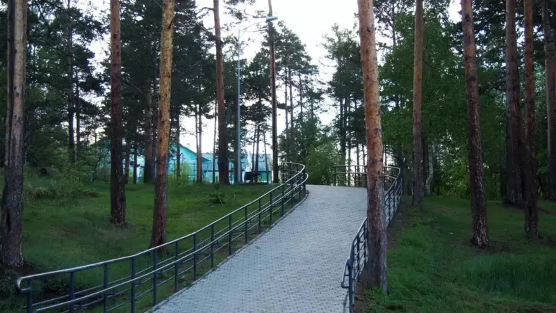 Роща звездочка